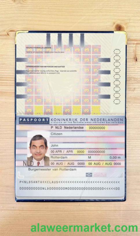 Netherlands (Holland) passport (2006-2016) photo look